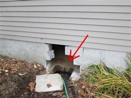 Leaching system pipe at foundation with arrow indicating inspection point